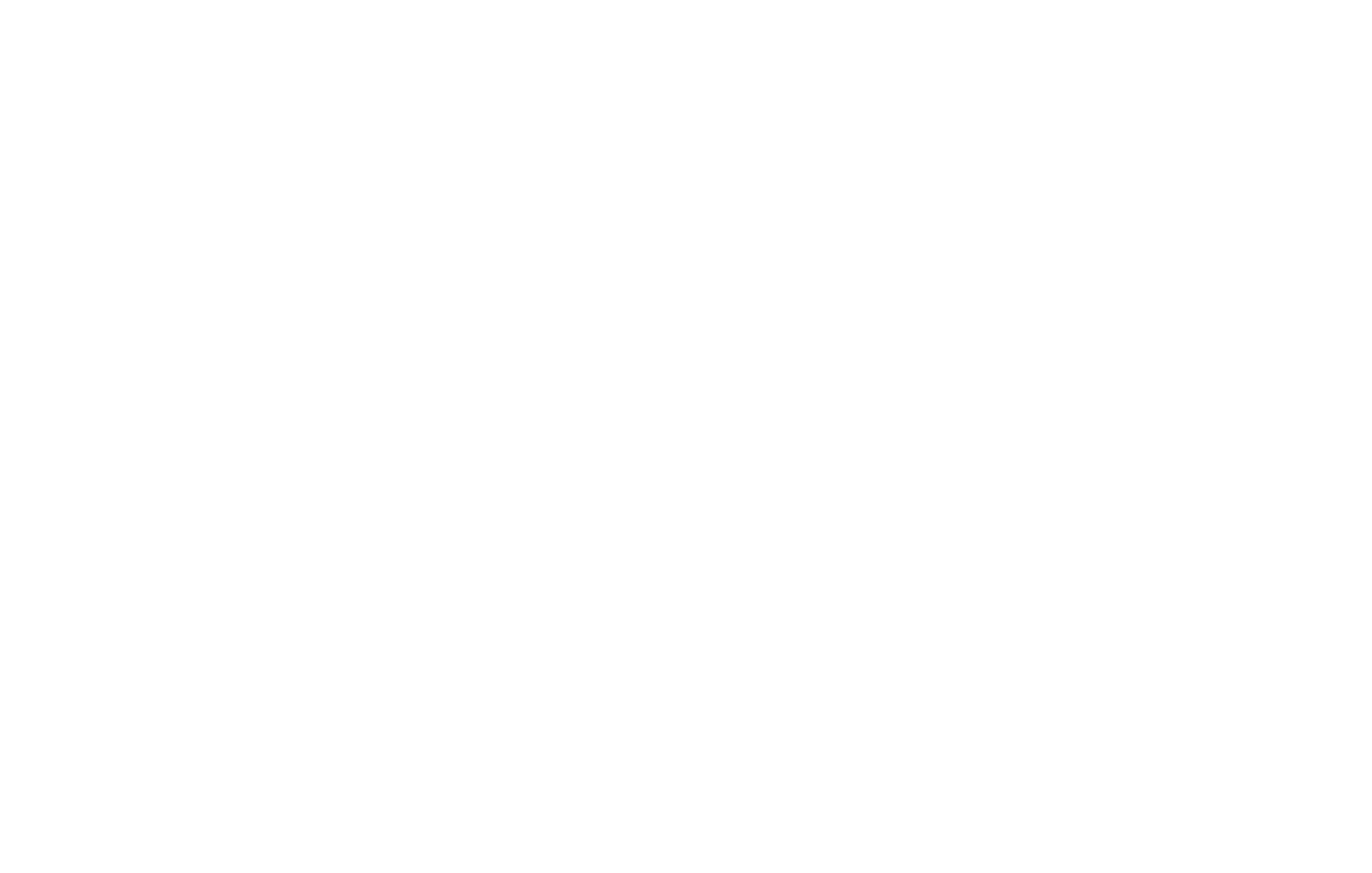 Cim Services Logo_Wht-01