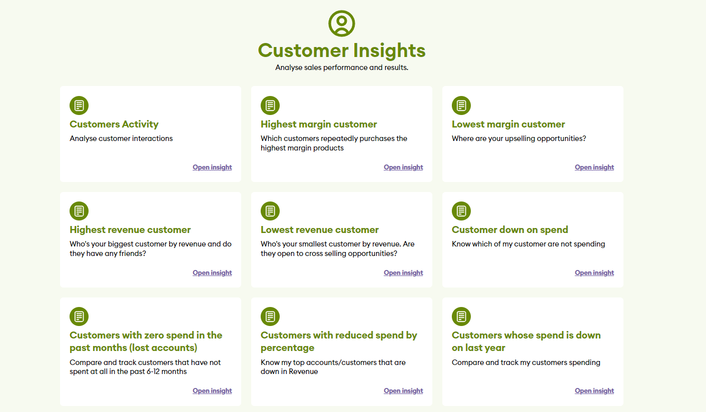 Customer Insights Ai