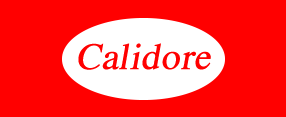 Calidore ERP Integration